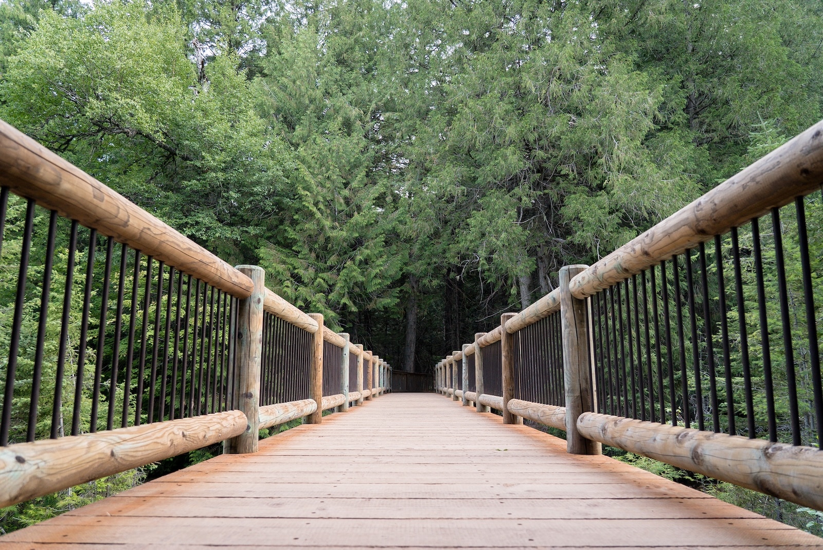 Picture looking down bridge in Glacier National Park