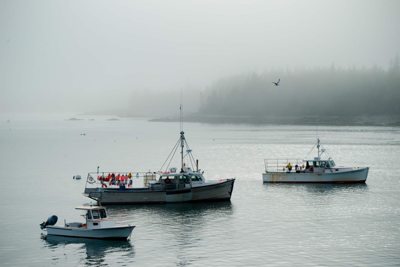Fishing boats on a foggy day in Acadia National Park