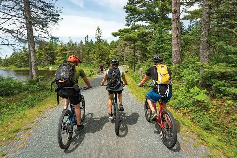 View of bikers from behind in Acadia National Park