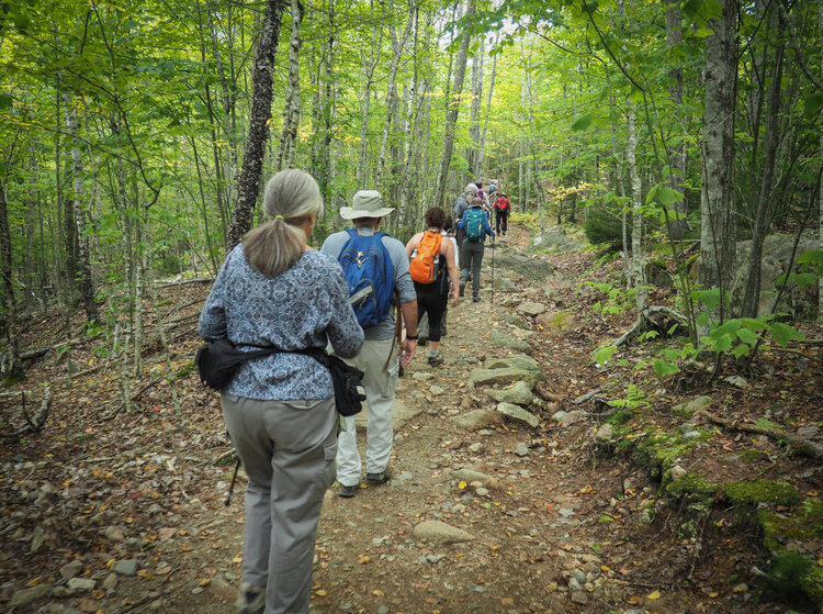People hiking in Acadia National Park
