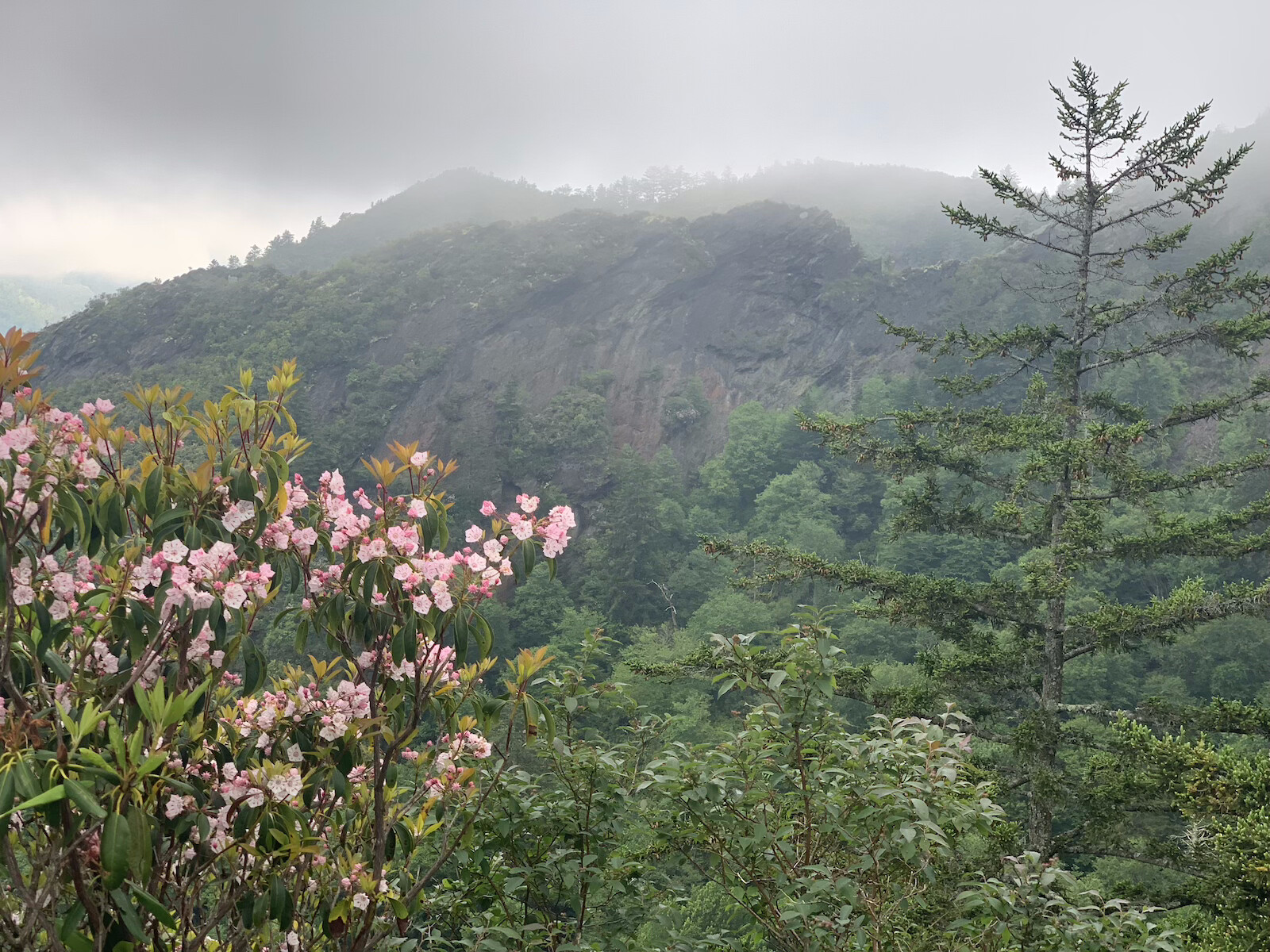 View of Great Smoky Mountains.