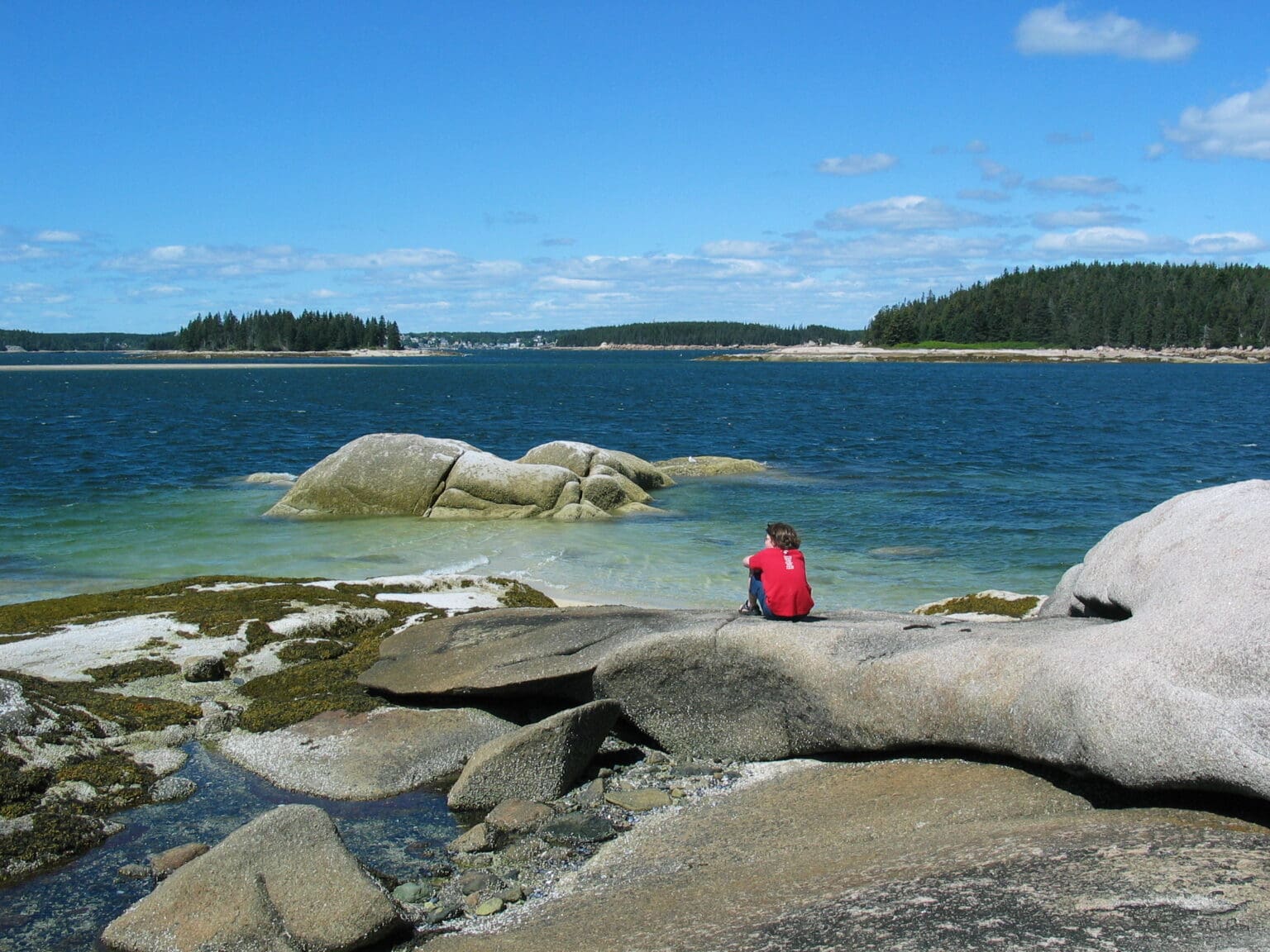 Person taking in the views off the coast of Acadia National Park