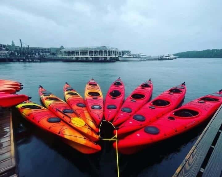 Empty kayaks tied up together on a foggy day