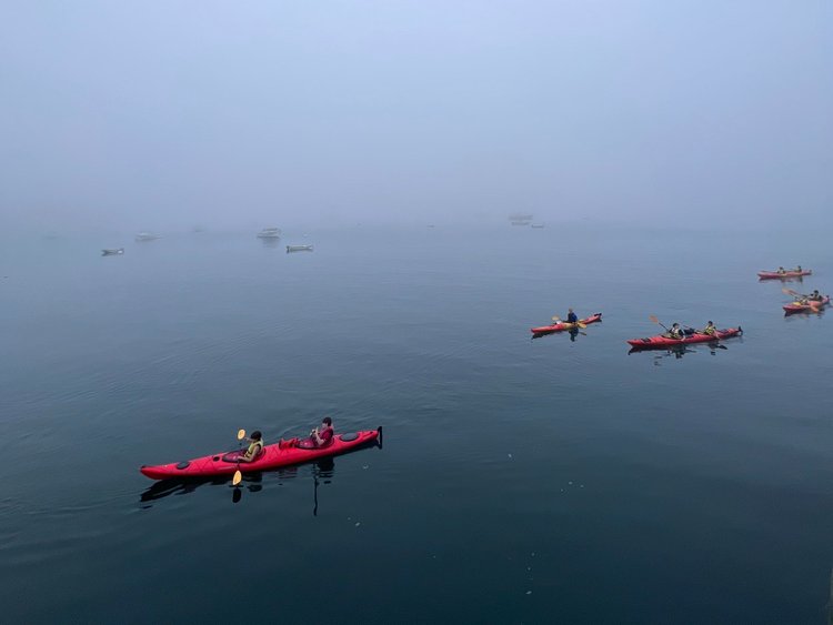 Kayakers on a foggy day