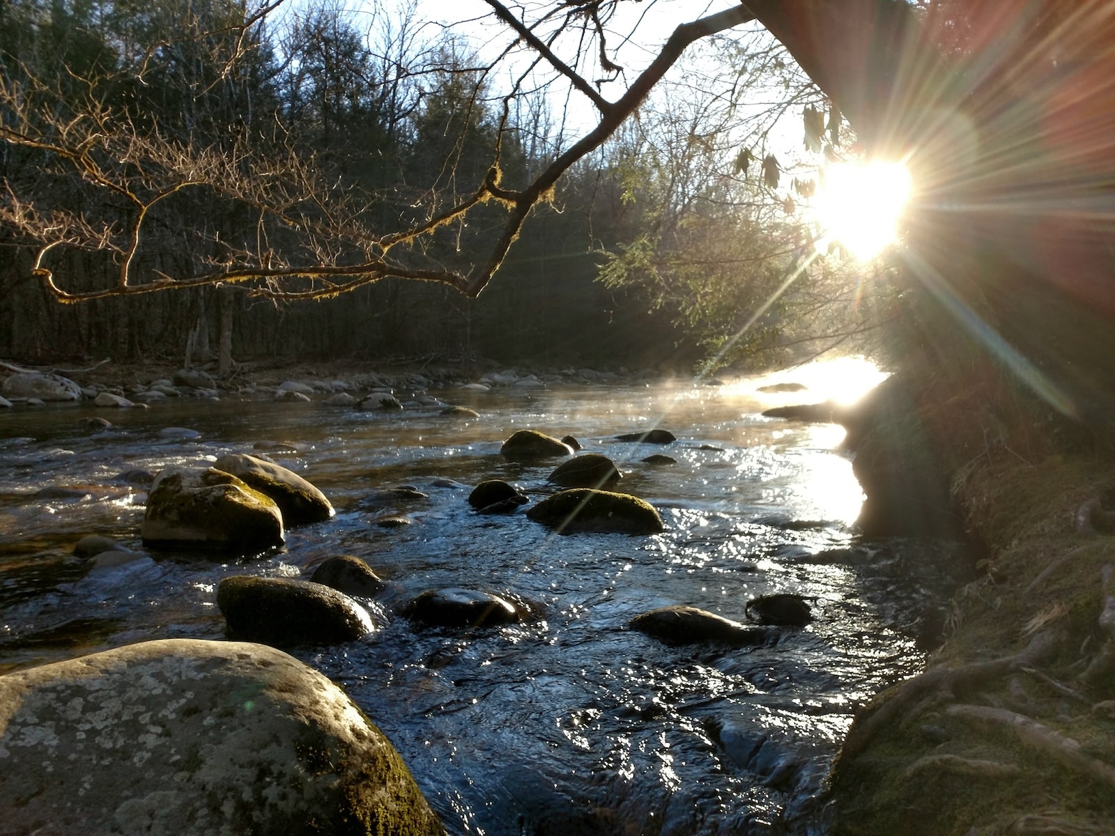 Stream in Great Smoky Mountain national park with sun shining through.