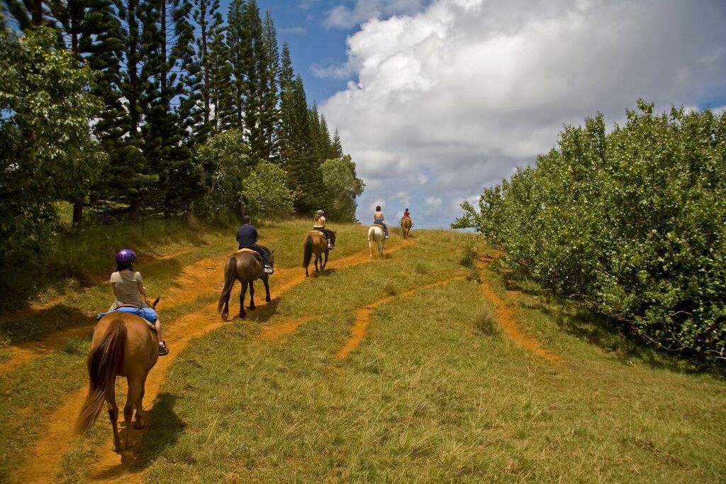Group of horseback riders near the Grand Canyon