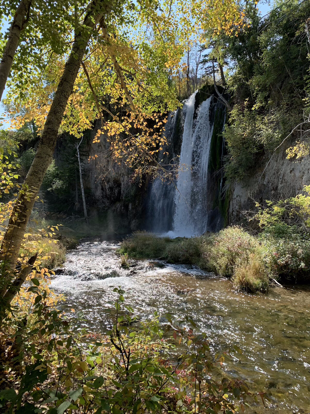 Waterfall in the Black Hills.