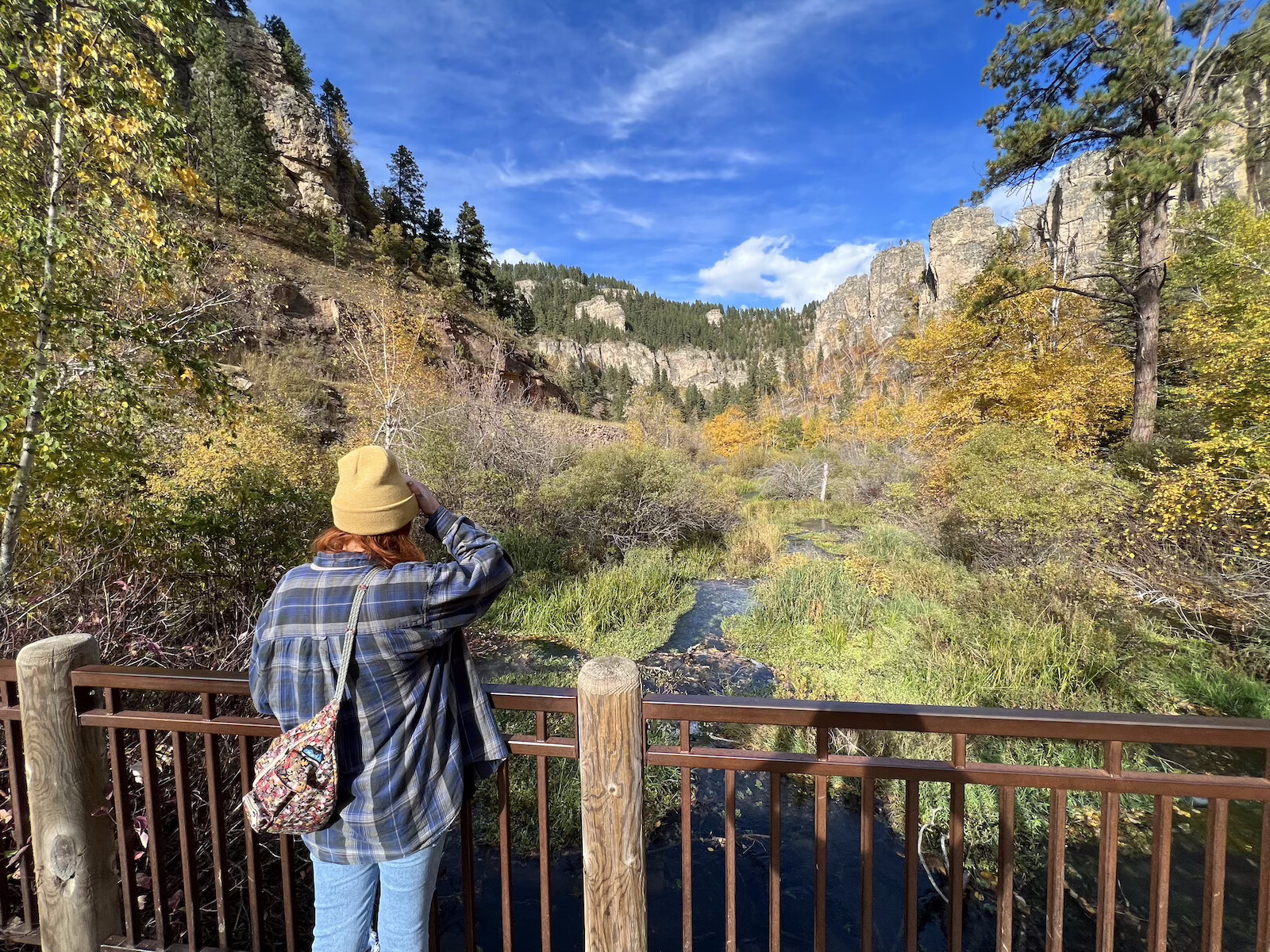 Woman at an overlook in the Black Hills with a creek running through a canyon.