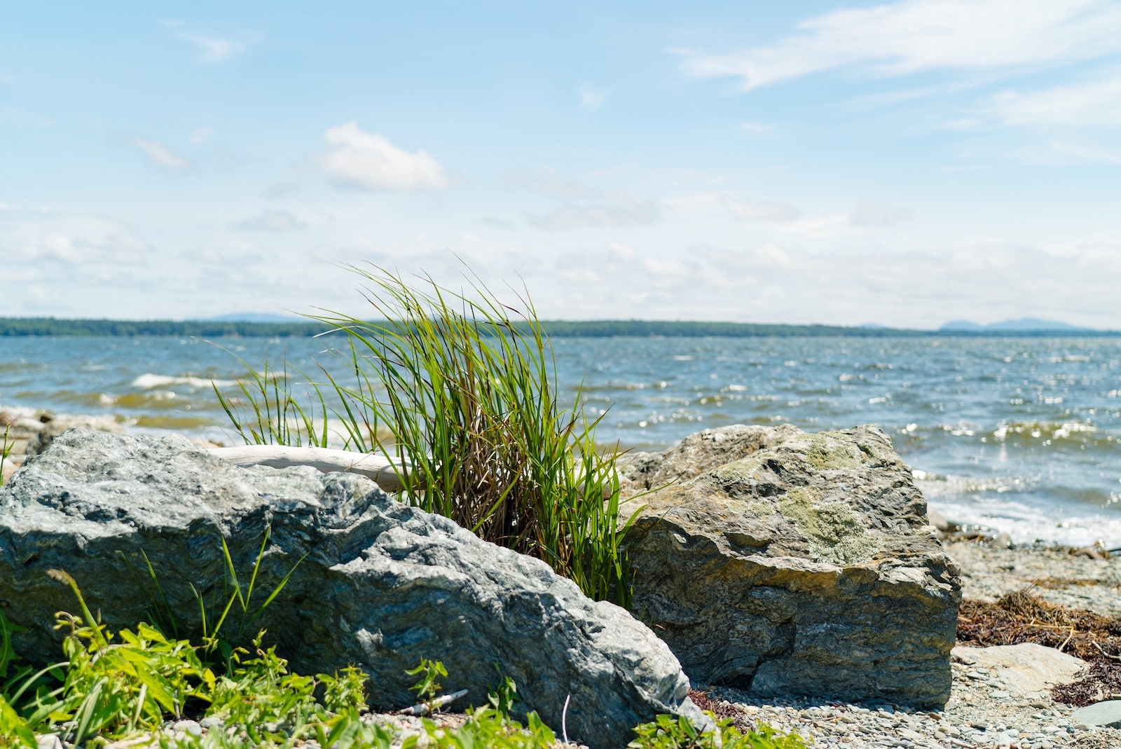 View of the water from Under Canvas Acadia.