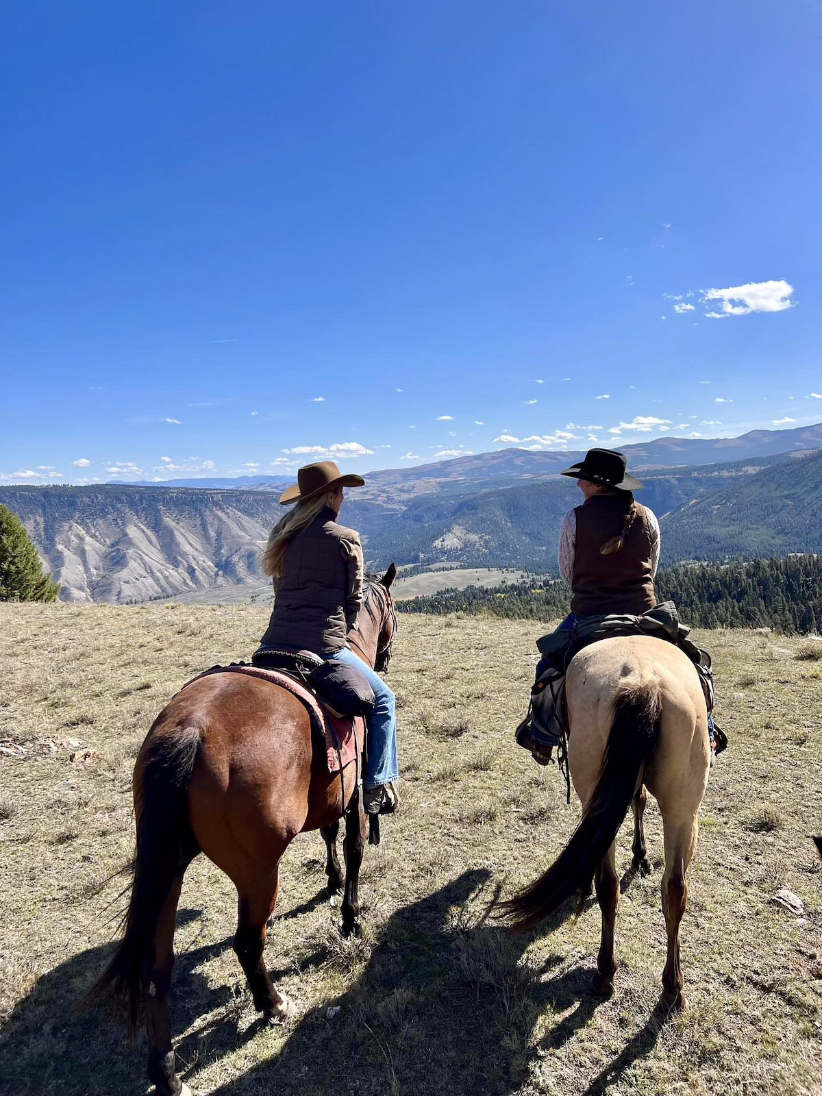 Two people on horseback overlooking a valley from above.