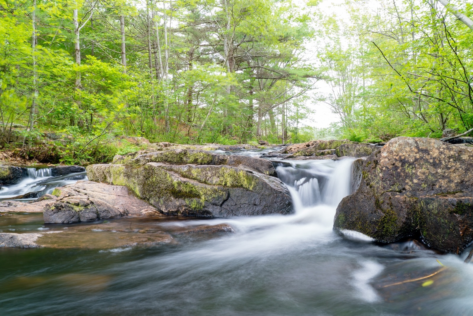 Waterfall in Acadia National Park.