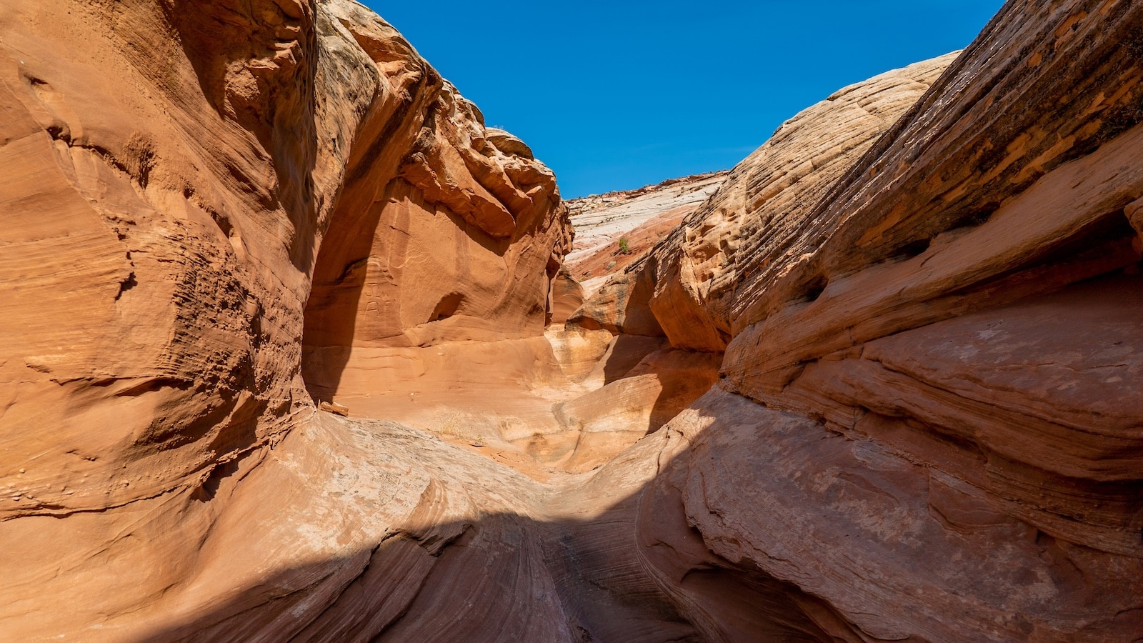 Canyon within Glen Canyon.