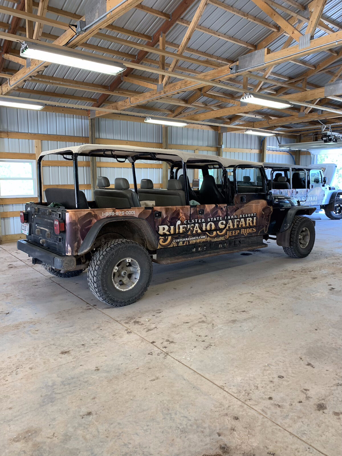 Buffalo Safari Jeep Rides vehicle.