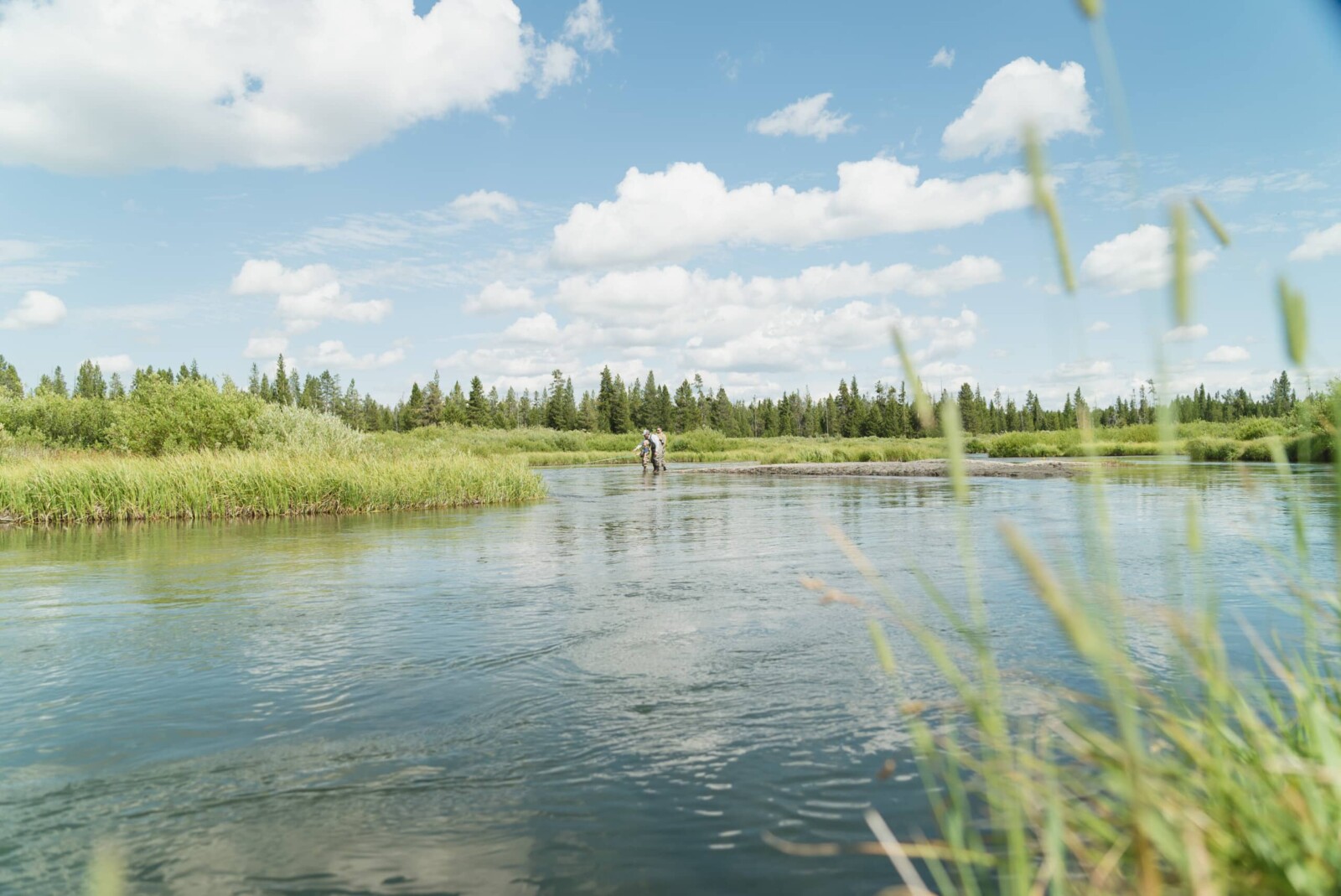 View of the Yellowstone River.