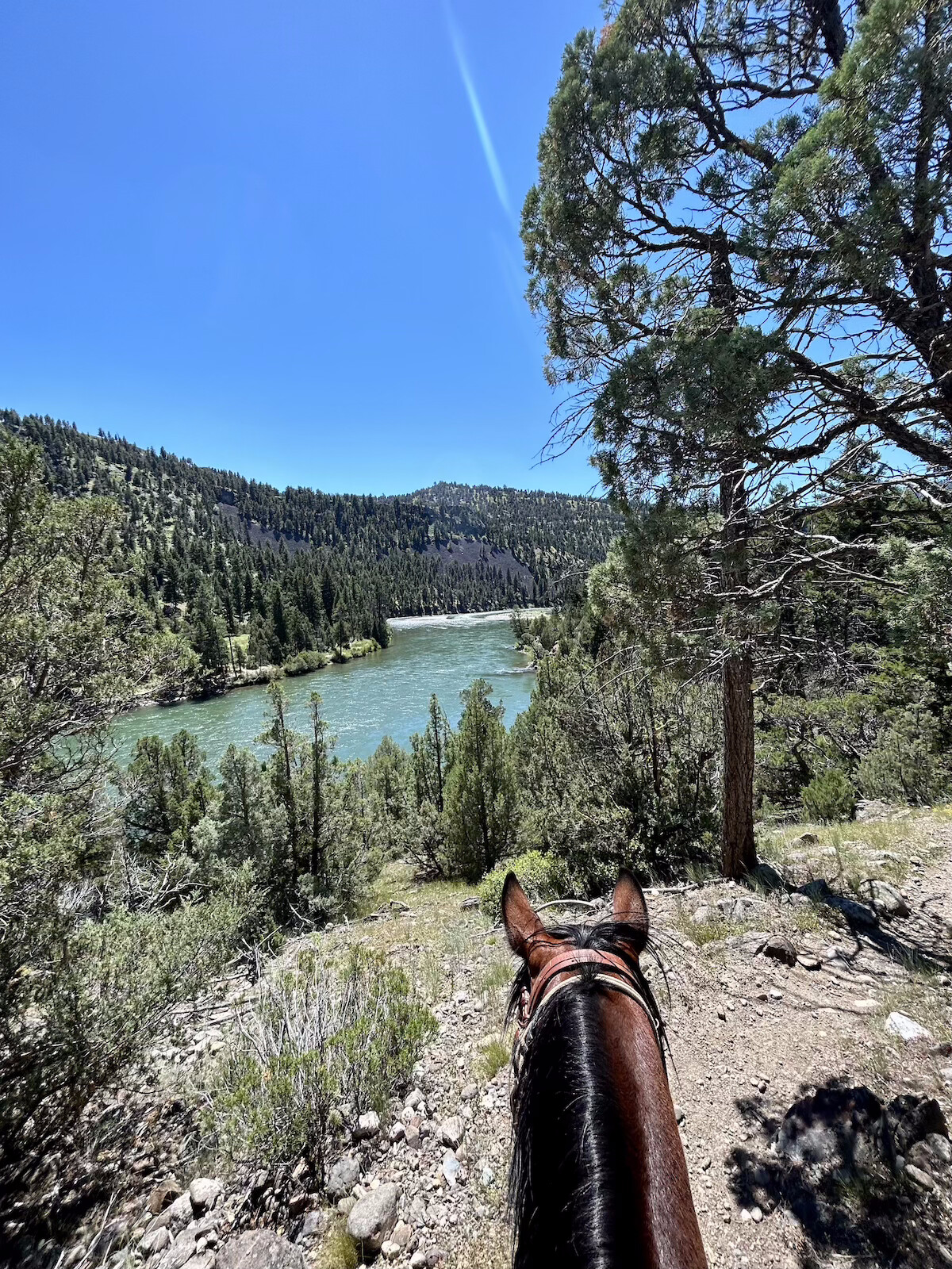 Someone atop a horse overlooking a lake in Yellowstone.