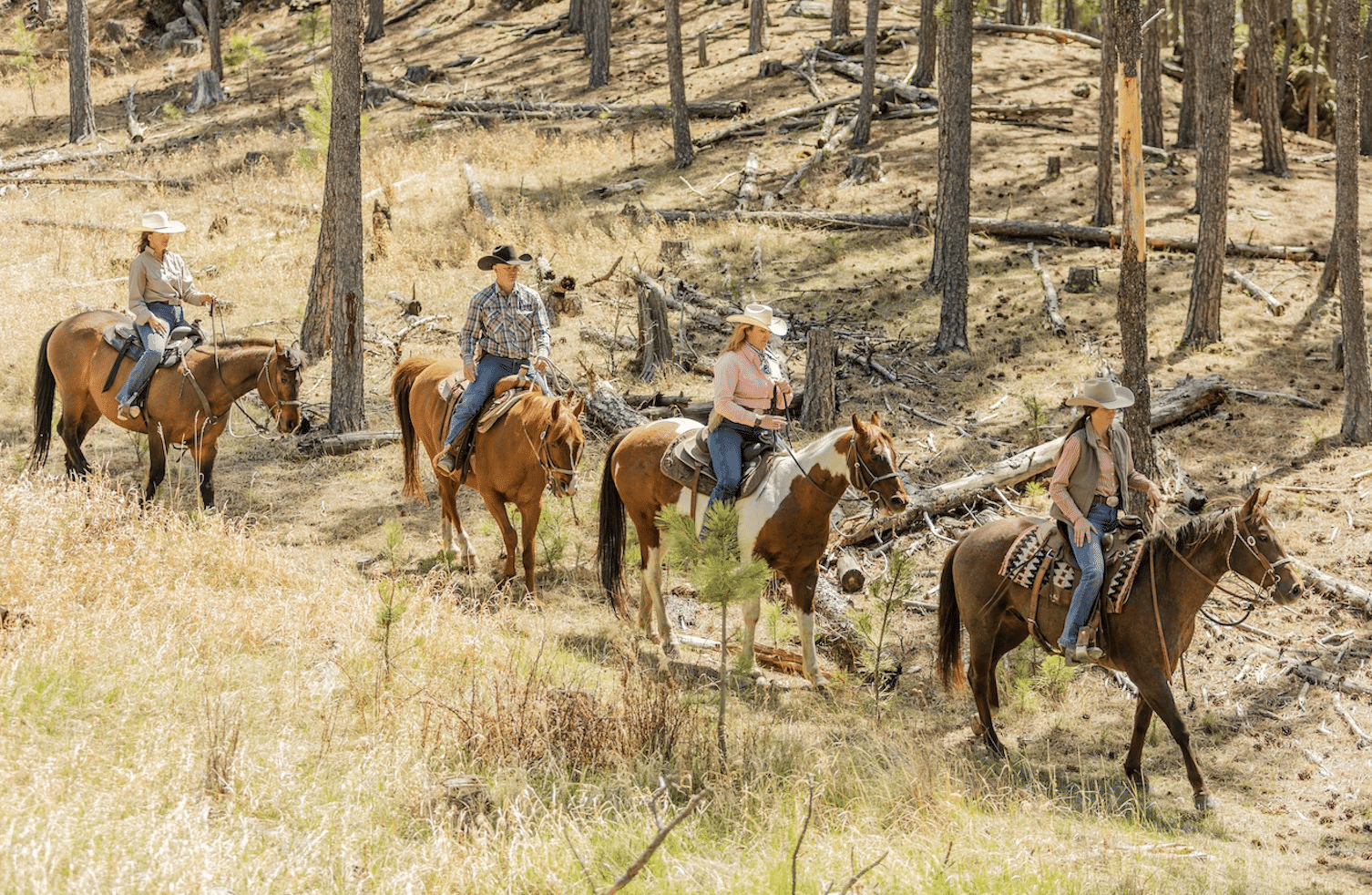 Group of horseback riders in the black hill of SD.