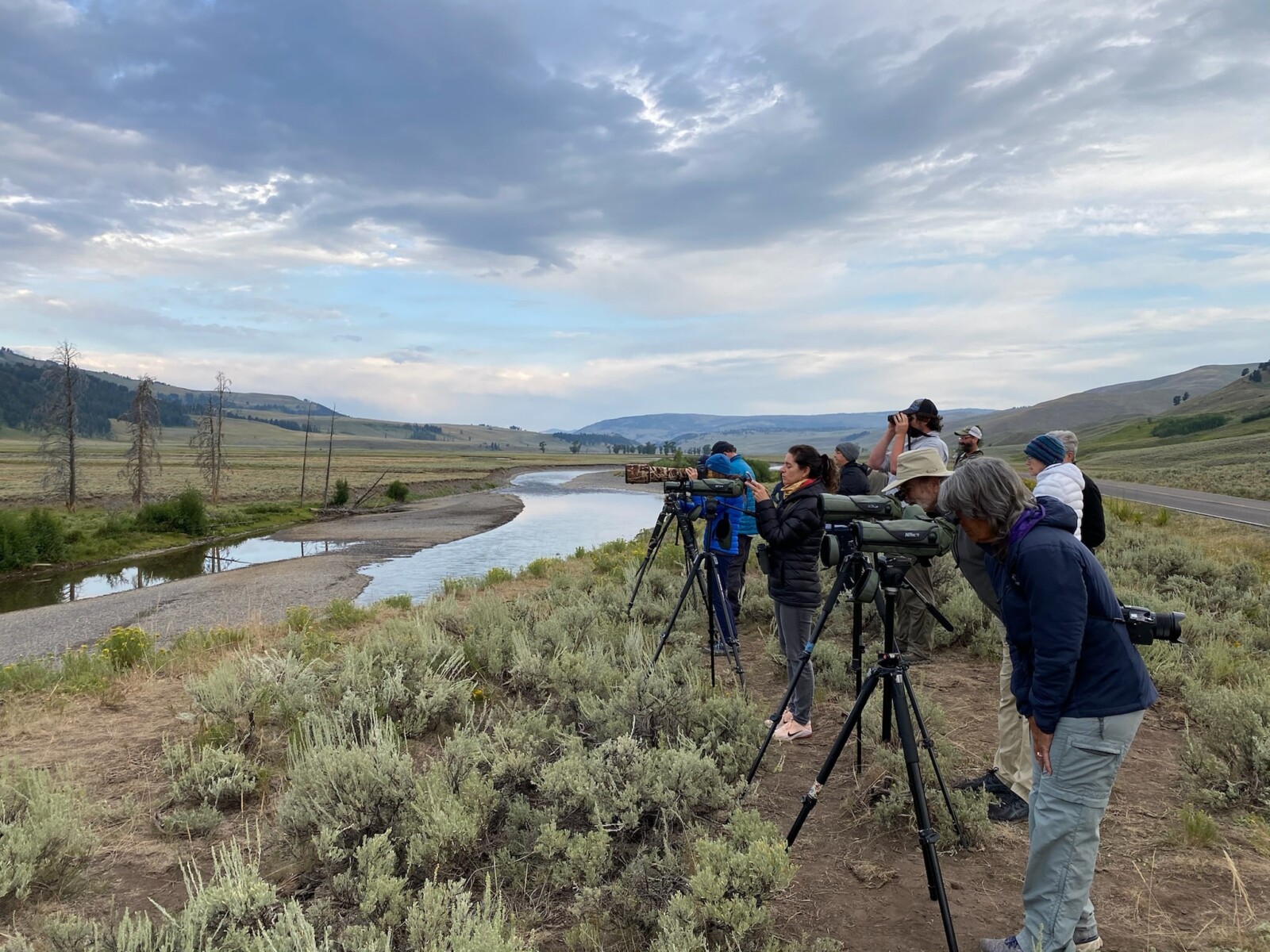 People wildlife watching in Lamar Valley in Yellowstone.