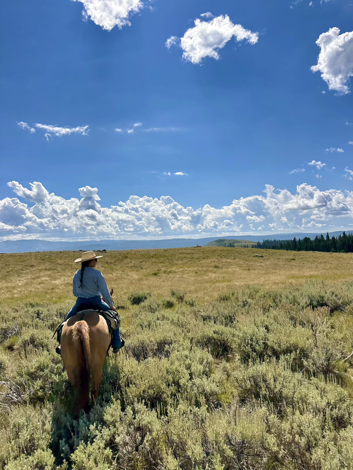 Woman horseback riding underneath clear skies.