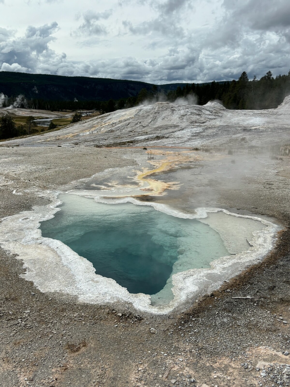 Hot spring in Yellowstone National Park.