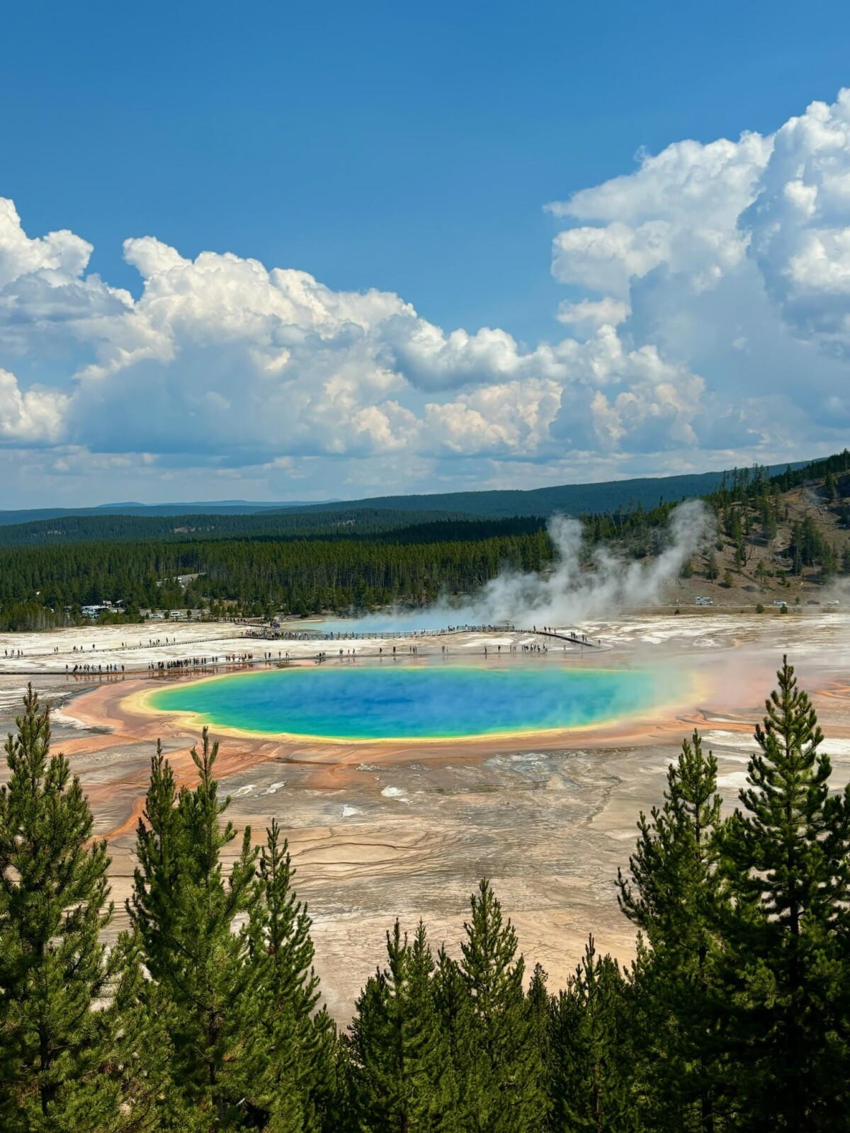 Grand prismatic spring in Yellowstone.