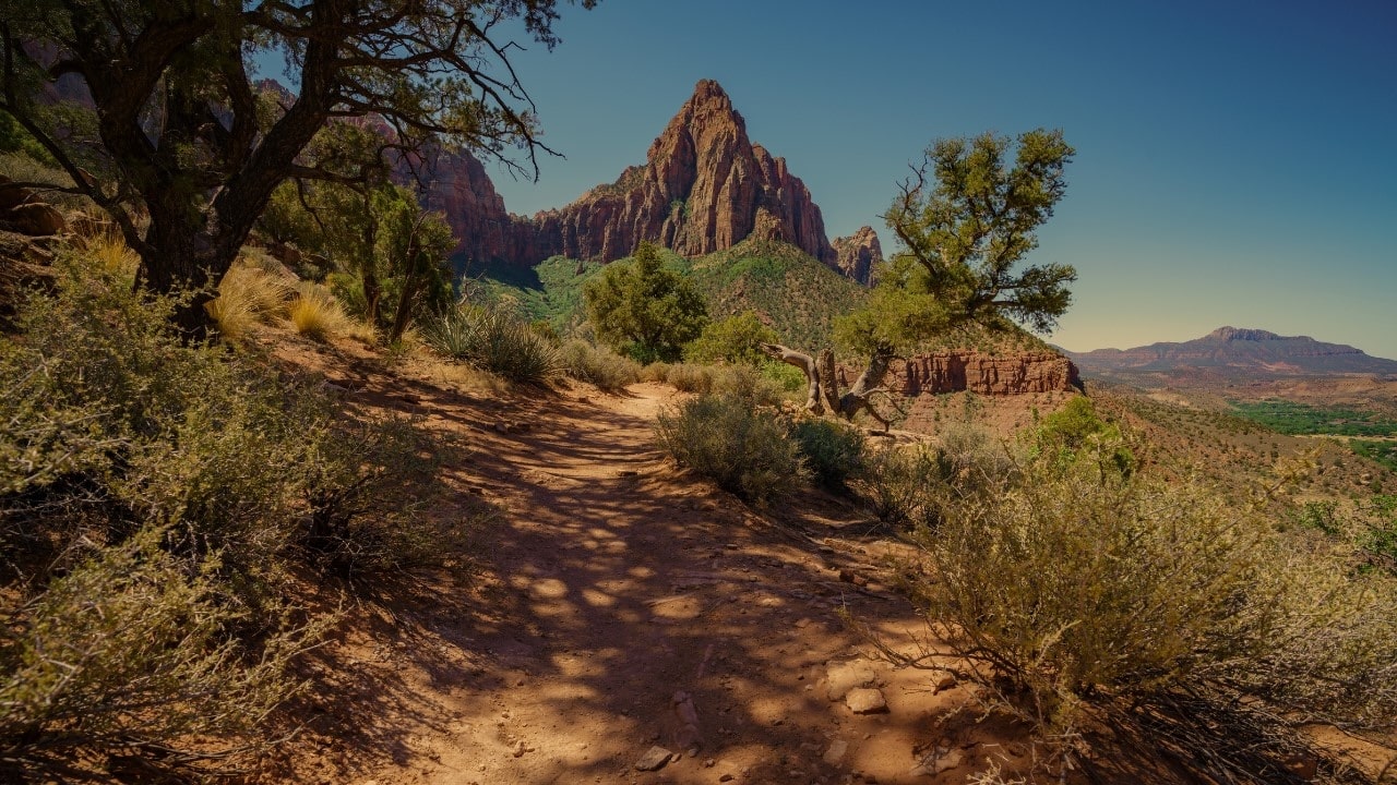 Hiking trail near Zion.