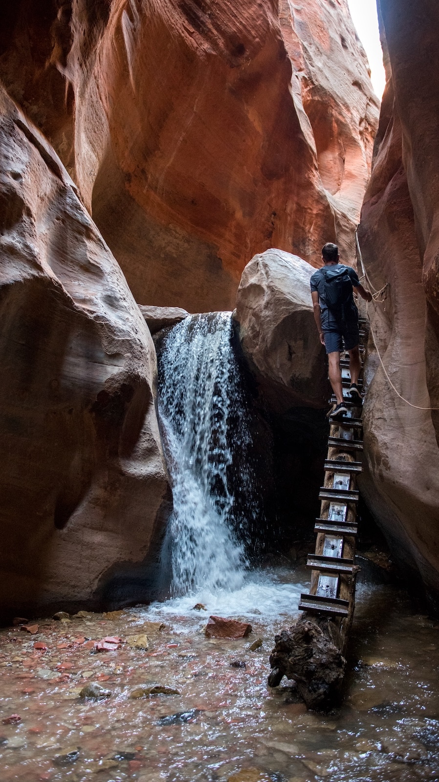 Waterfall hike in Zion National Park.