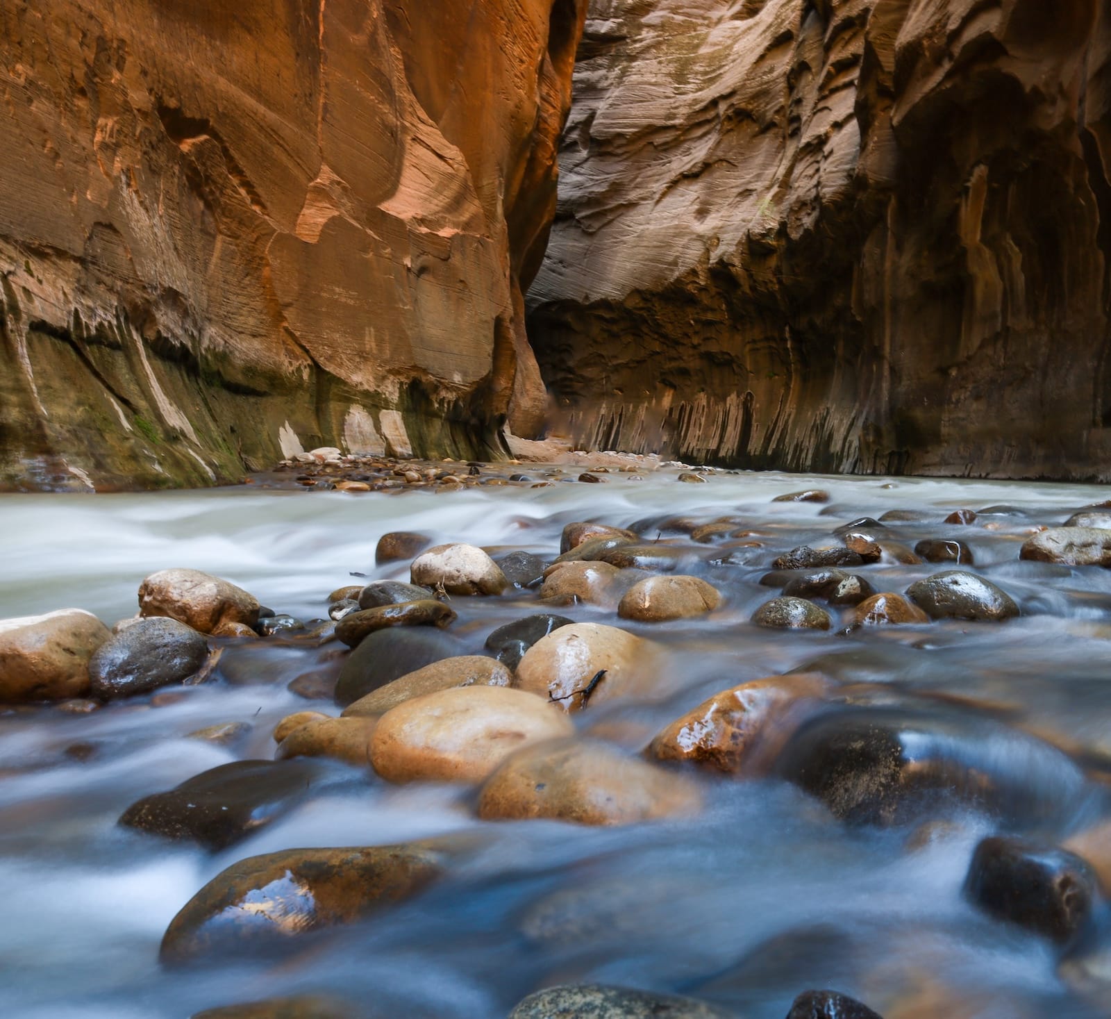 The Narrows in Zion.
