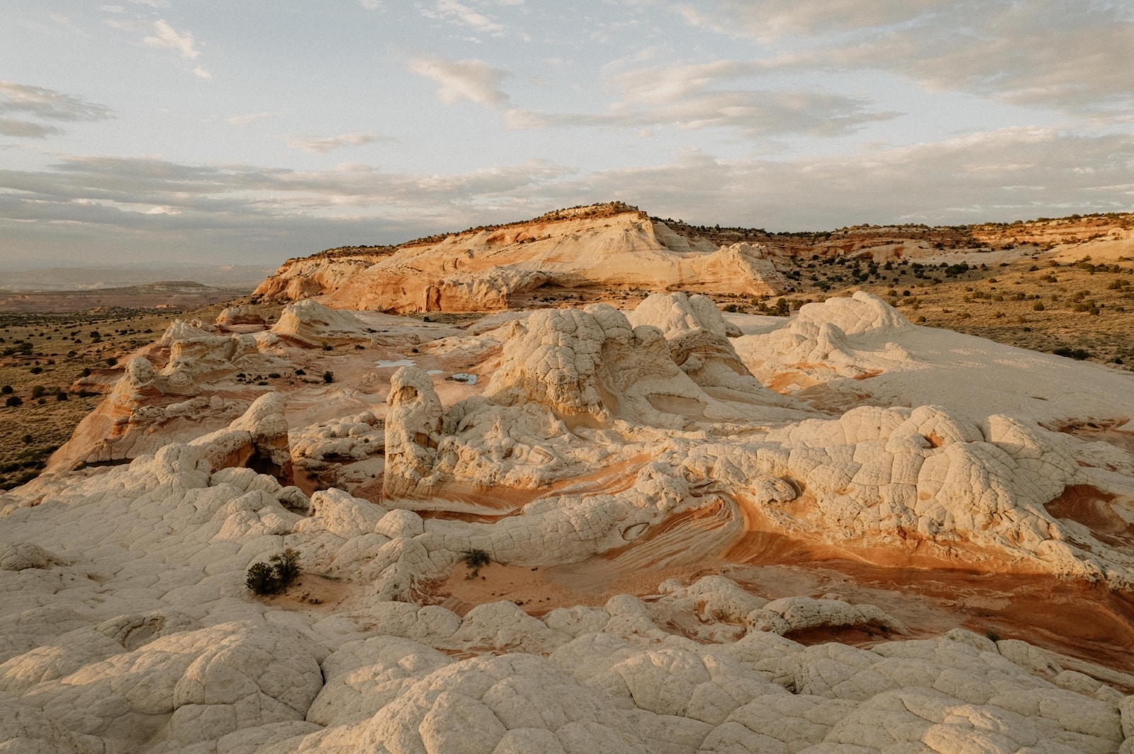 White Pocket, Arizona.