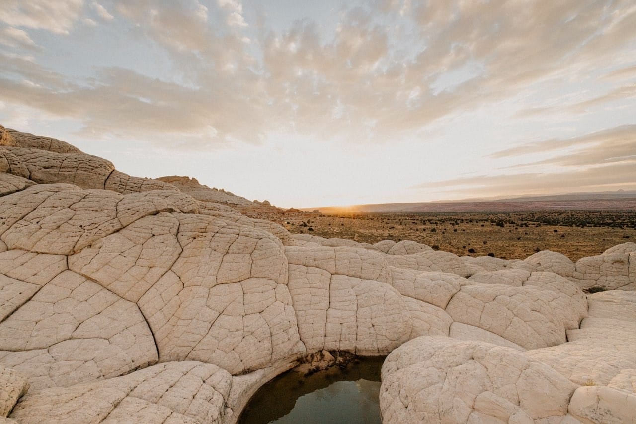 A pool of water in White Pocket, AZ.