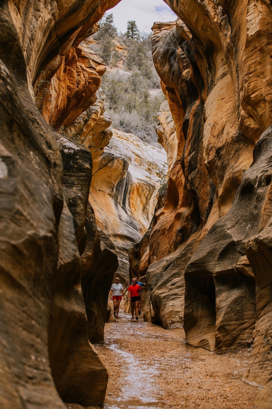 People hiking through Willis Creek Slot Canyon.