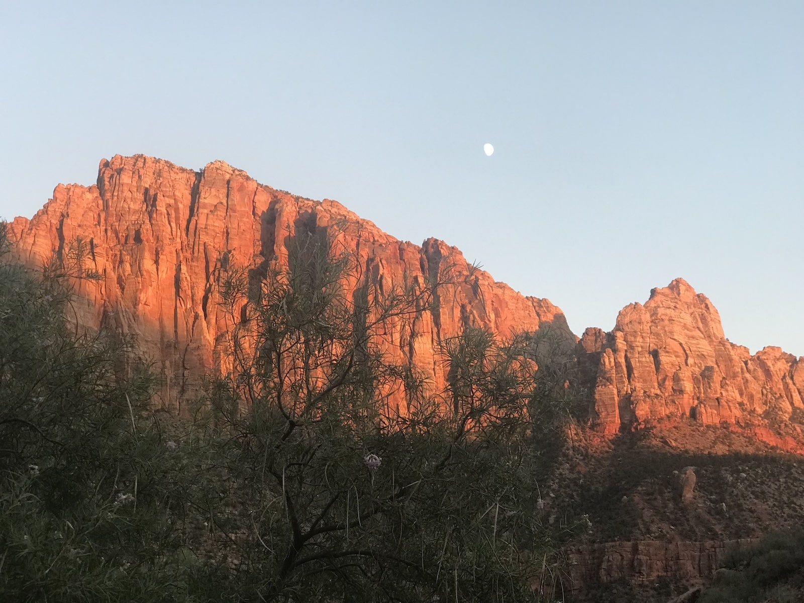Zion cliff during sunset with the moon in view.