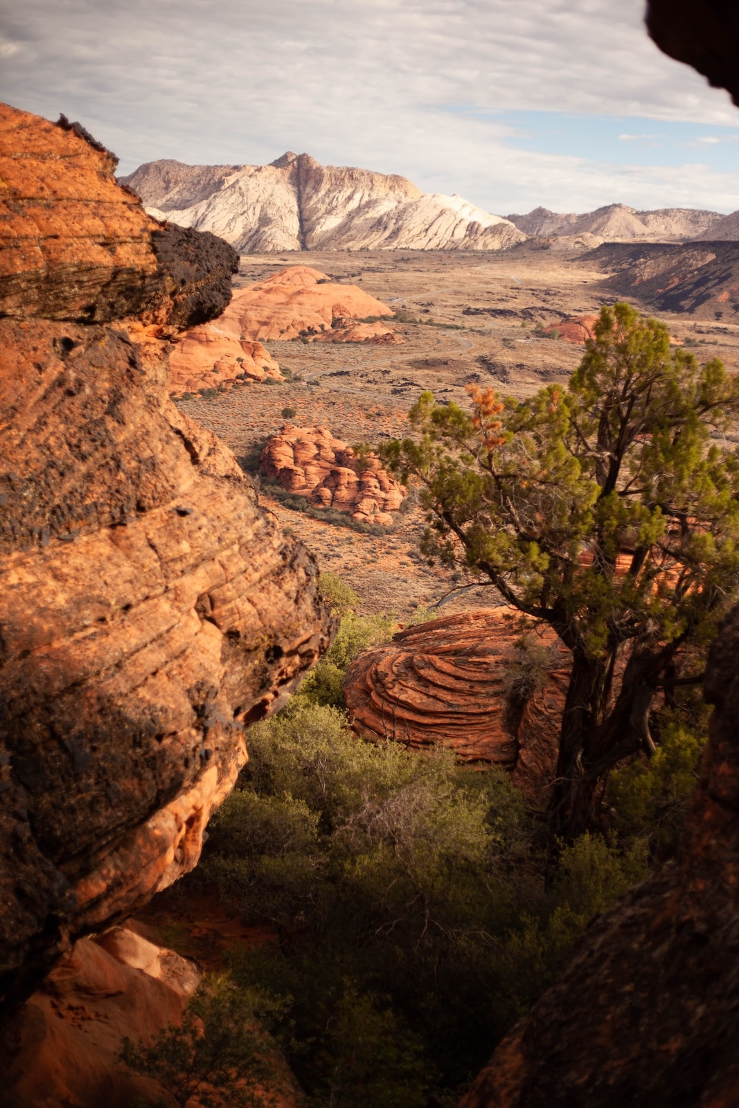 Vie near Zion national park during sunset.