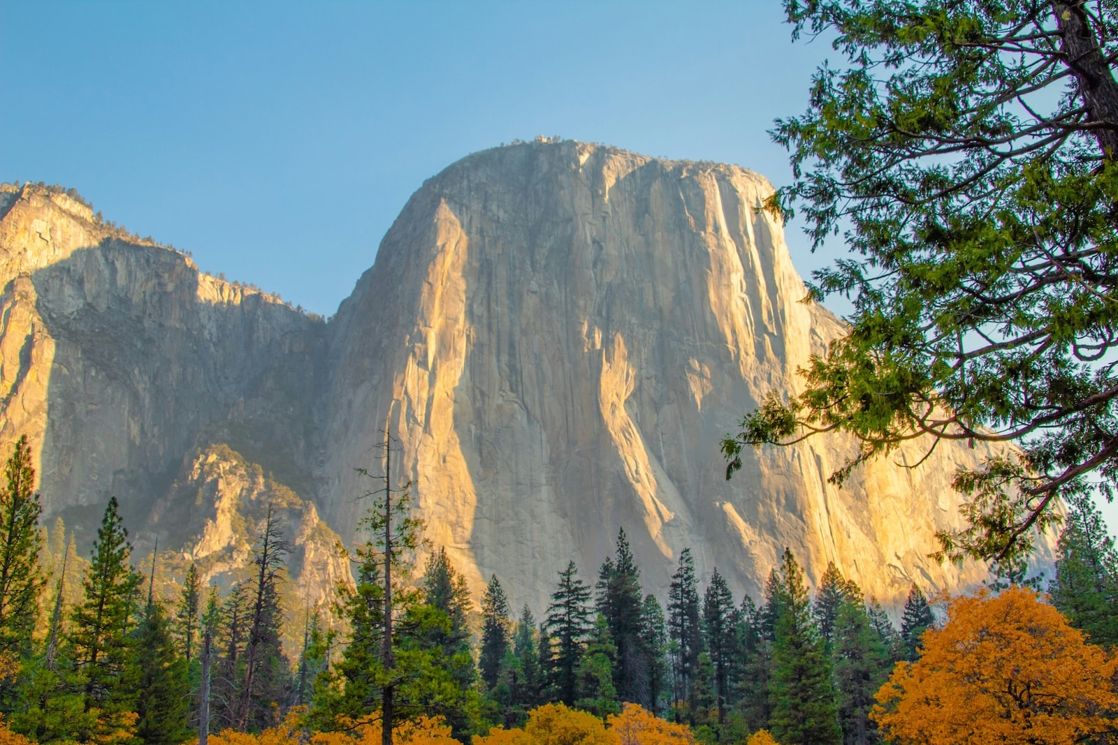 El Capitan in Yosemite National Park during golden hour.