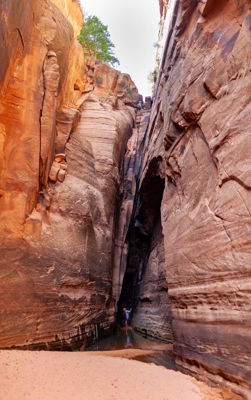 Person rock climbing in Lamb's Knoll climbing area.