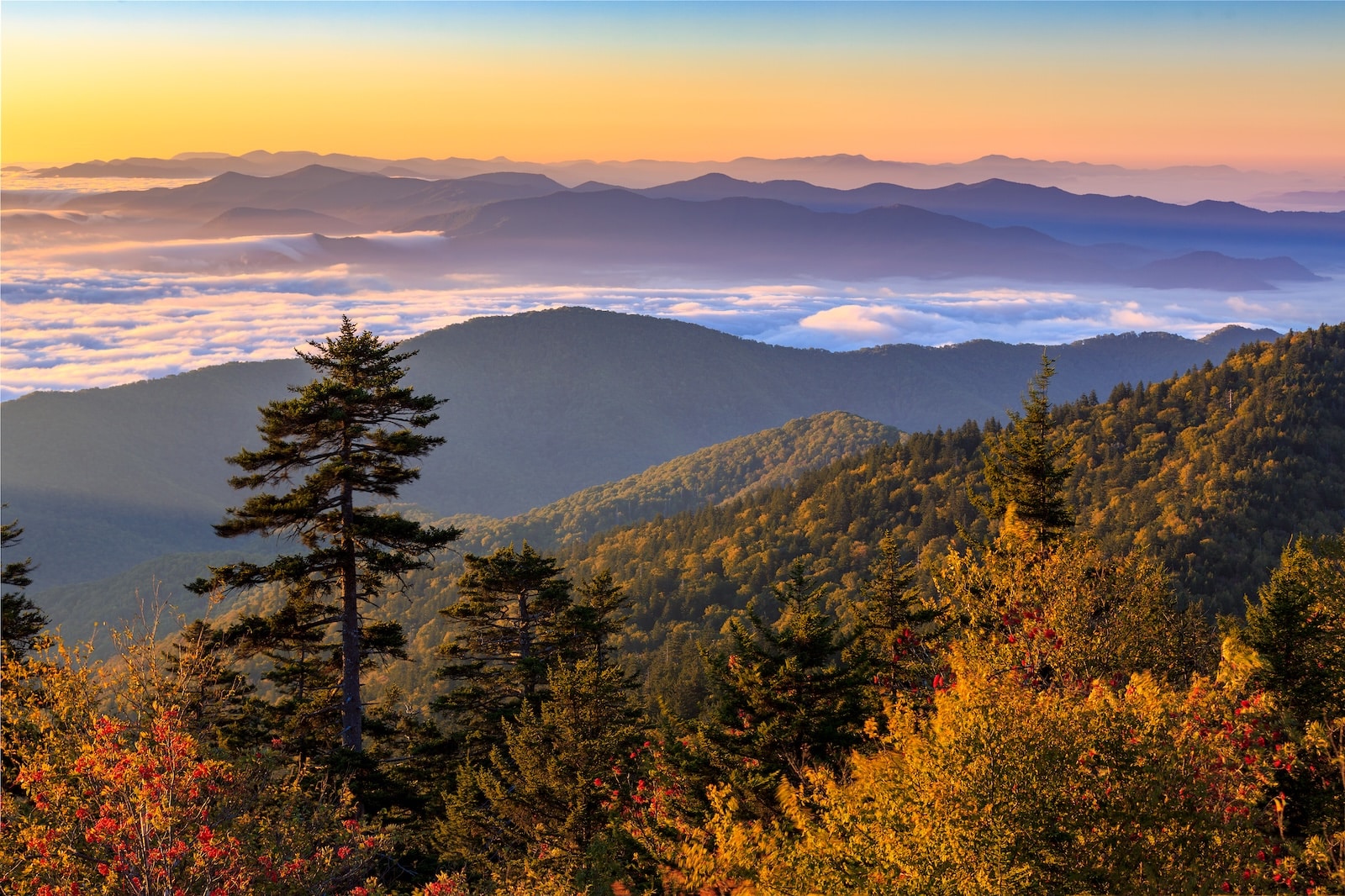 Fall in the Smoky Mountains from atop a mountain.