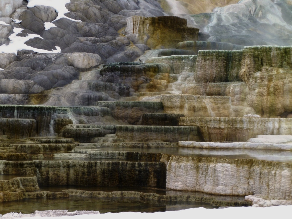 Mammoth Hot Springs in North Yellowstone.