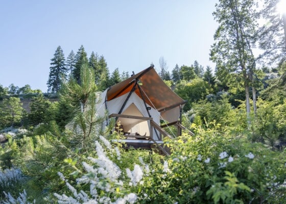Under Canvas tent at Columbia River Gorge with blooming wildflowers in the foregroud.