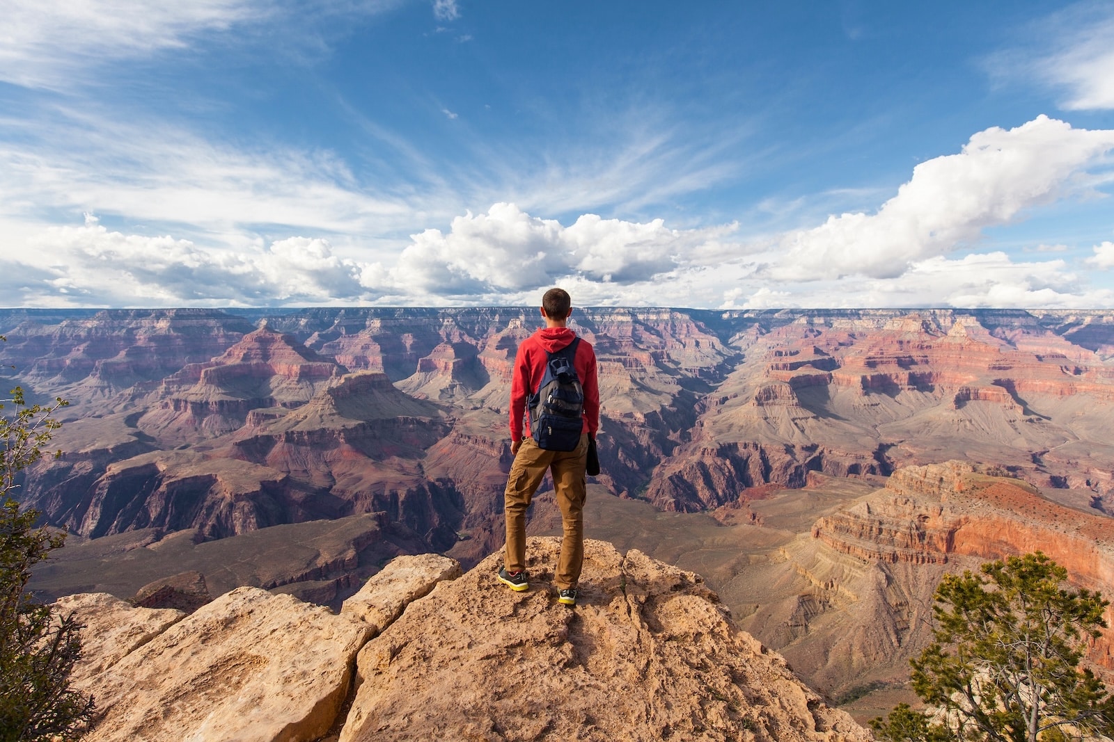 Person on the rim of the Grand Canyon.
