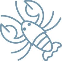 Icon List Image