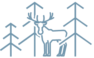 Icon List Image