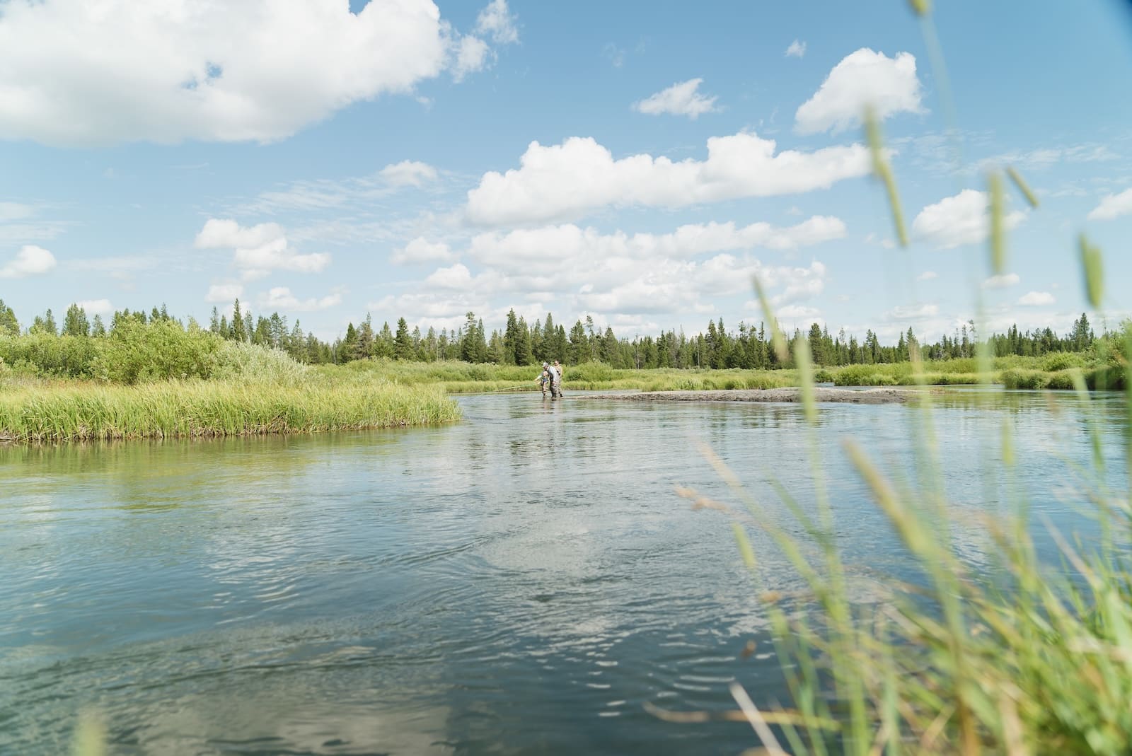 Fly fishing on the Yellowstone River.