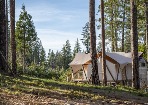 Under Canvas Appoints Noah Brodsky as Chief Executive Officer