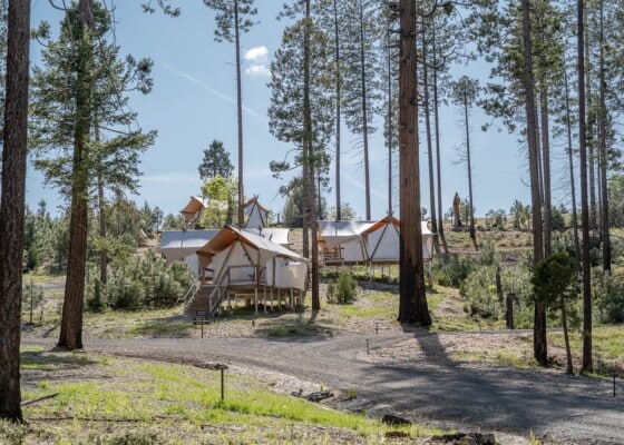 Group of tents at Under Canvas Yosemite.