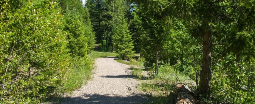 Guide to Glacier National Park with Dogs