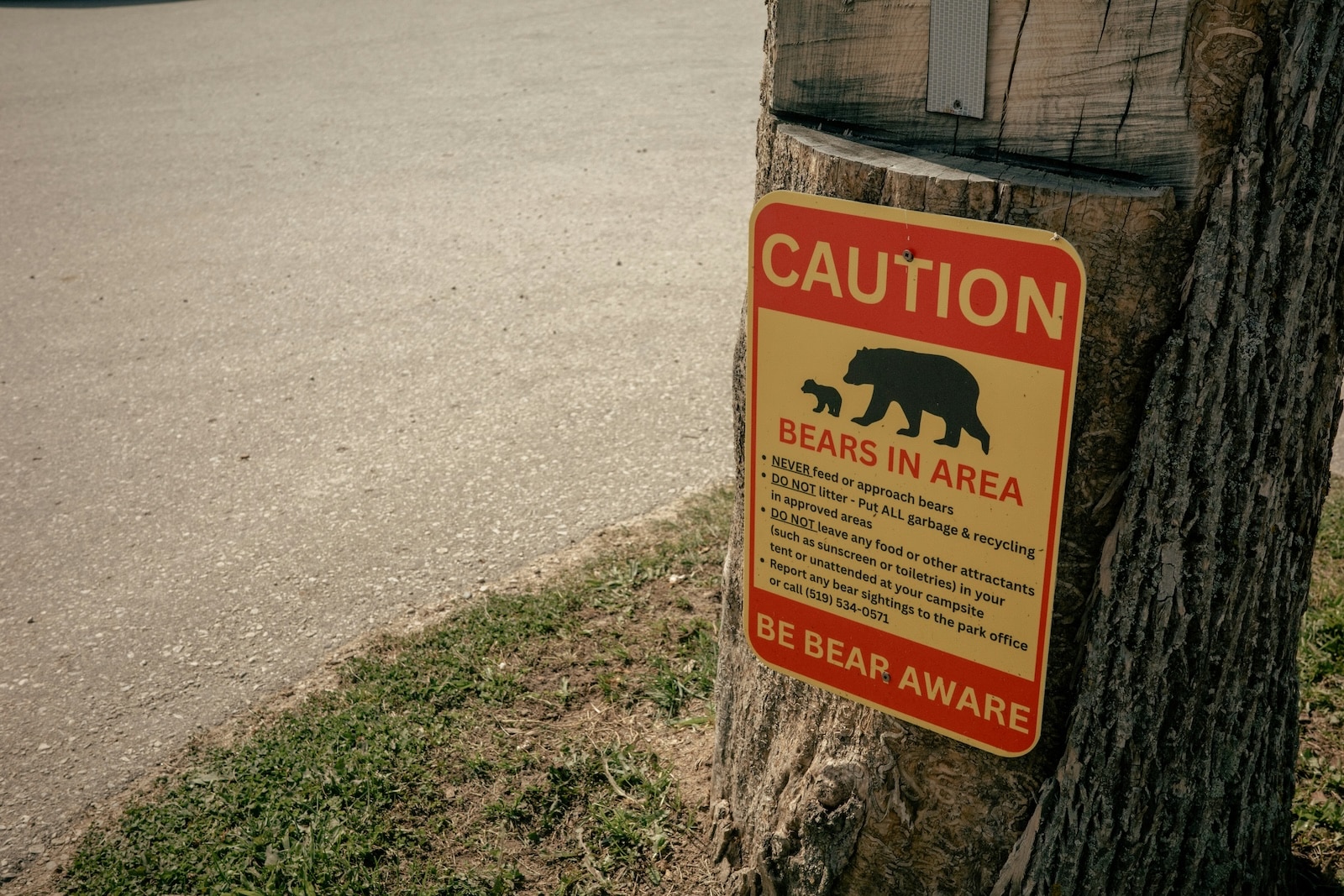 Be Bear Aware sign.