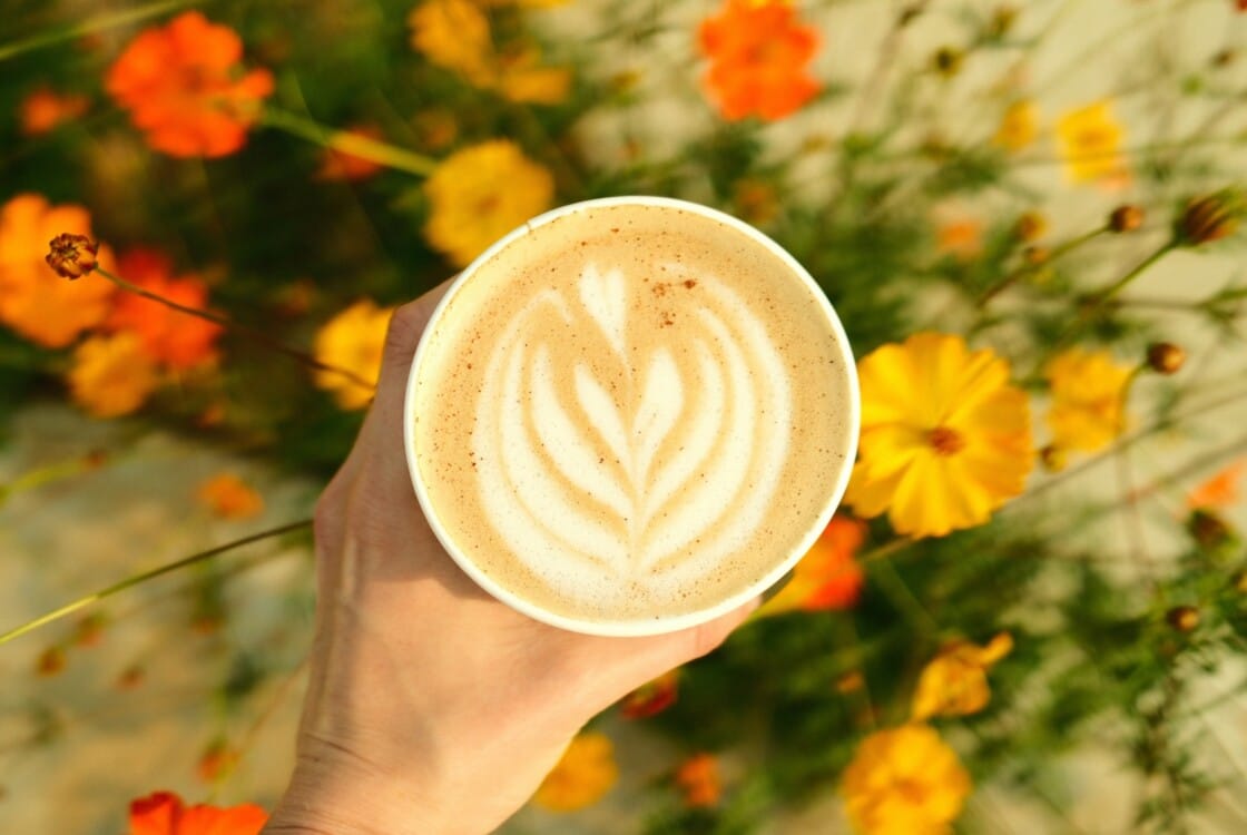 Latte amongst wildflowers at Under Canvas.