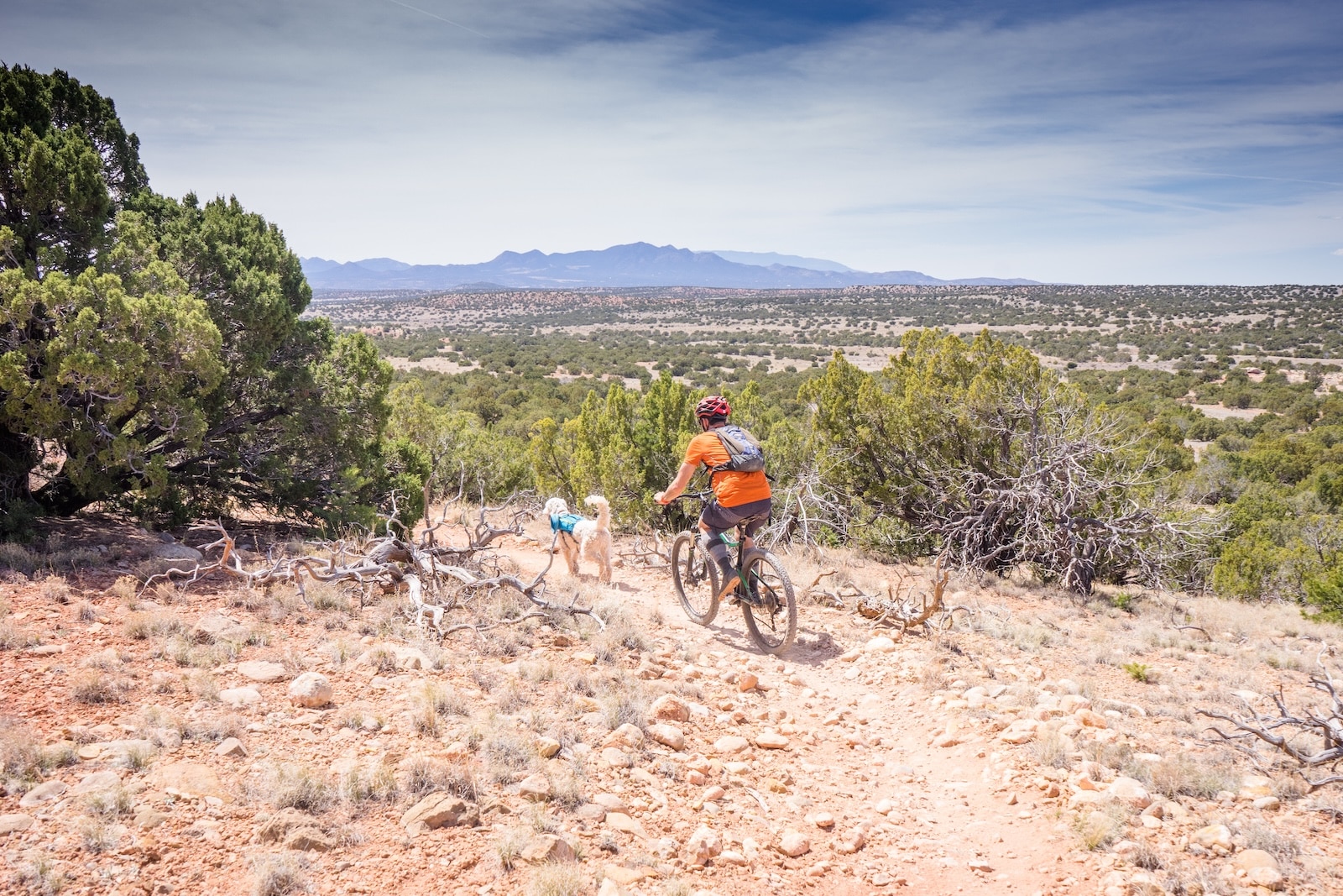 Someone mountain biking with his dog at the mountains near Santa Fe, New Mexico.